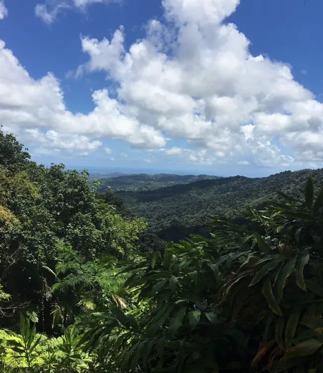El Yunque National Forest