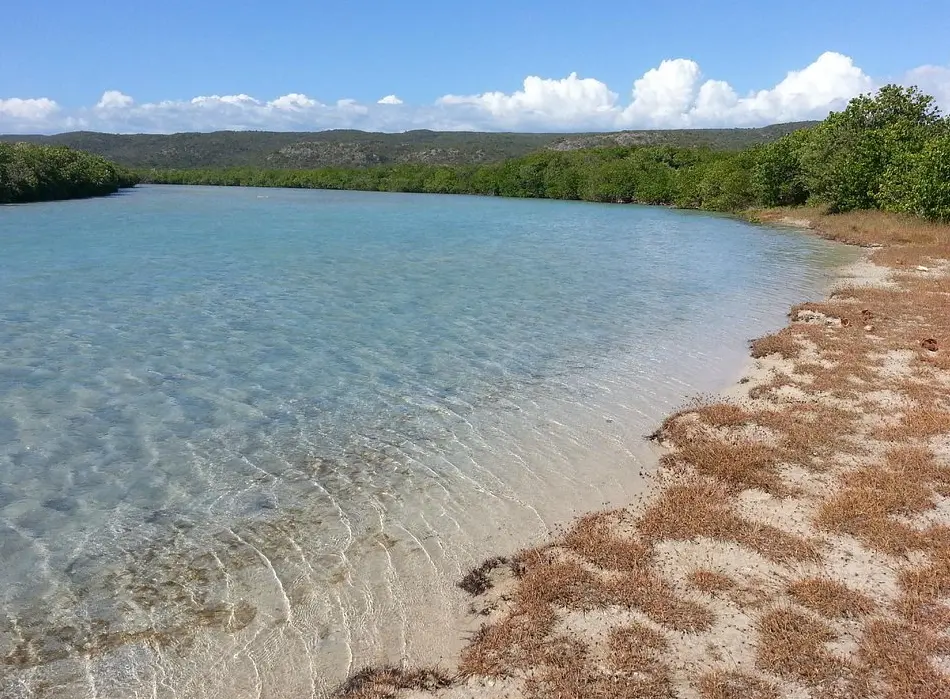 Bosque Estatal de Guánica