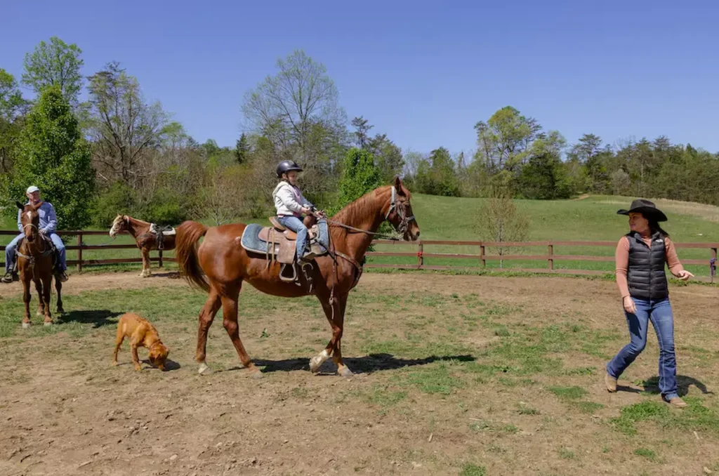 Private, guided horseback rides