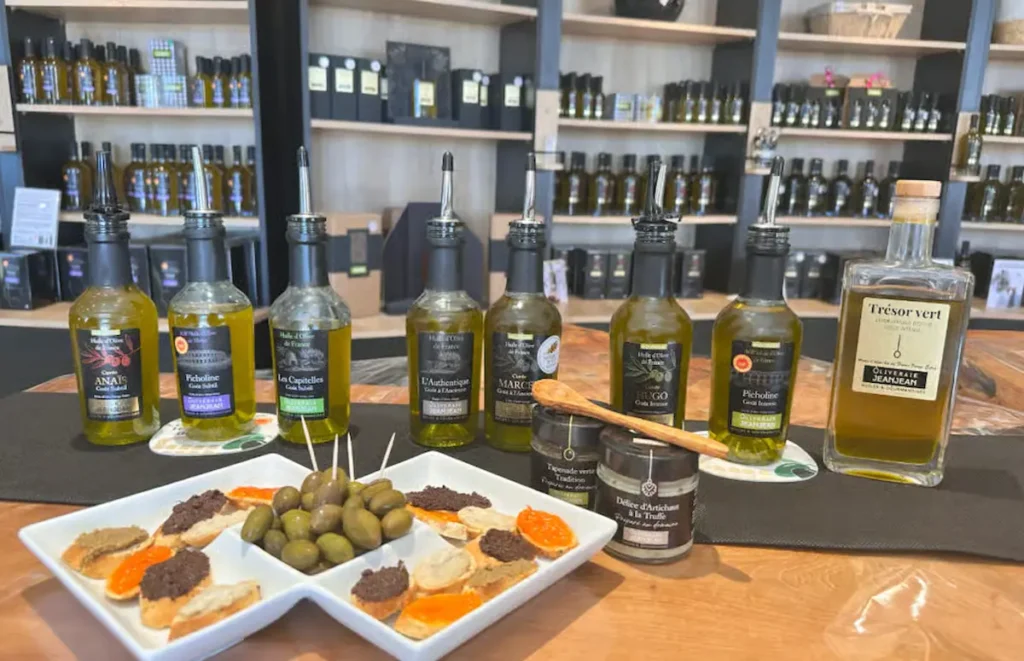 Tour of an olive oil mill in an organic olive grove