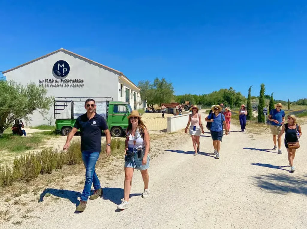 Lavender Field & Distillery Tour between Nimes & Arles