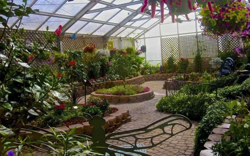 Colorful flowers fill the Mackinac Island Butterfly House greenhouse.
