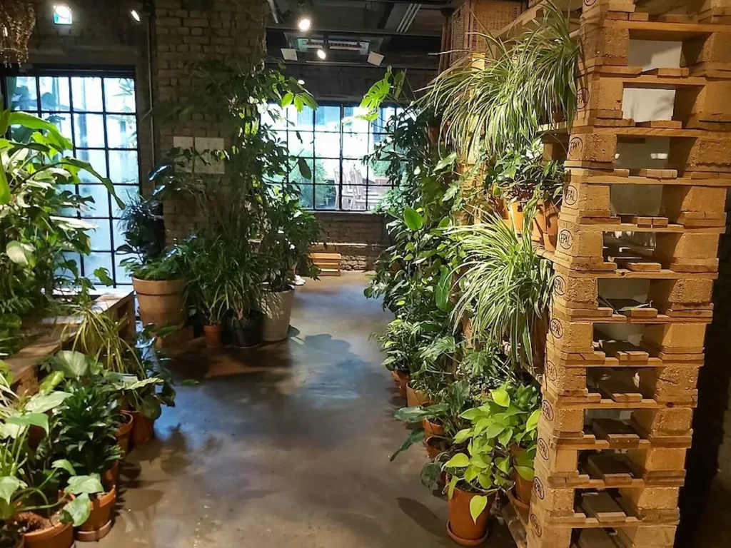 Interior of Urban Plant Mago-gu