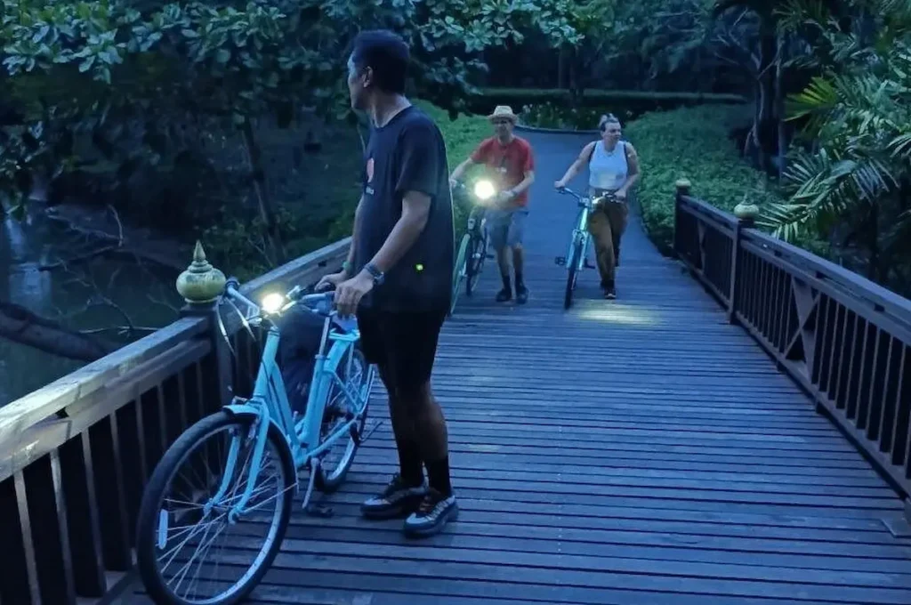 Bamboo Bicycle Tour in twilight