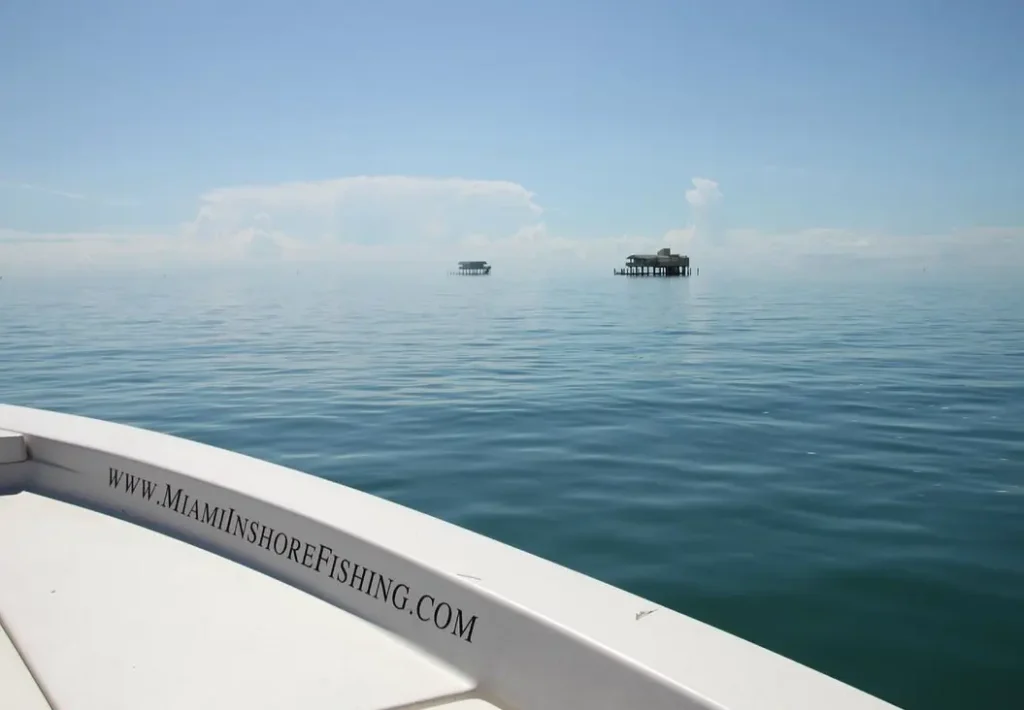 Miami Inshore Fishing Charters