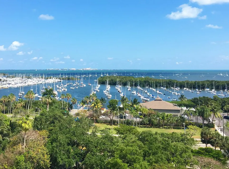 View from the Sonesta Hotel Coconut Grove