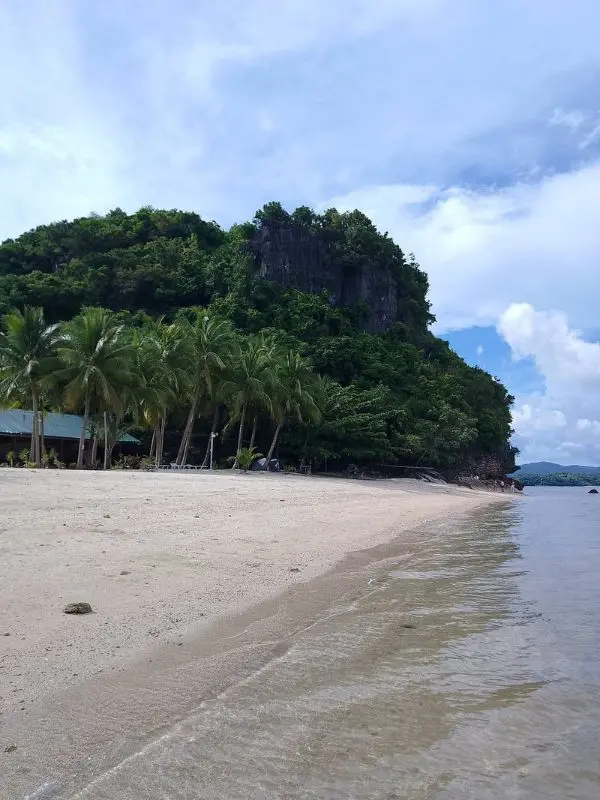 Palm trees line the sandy beach at Borawan Island.