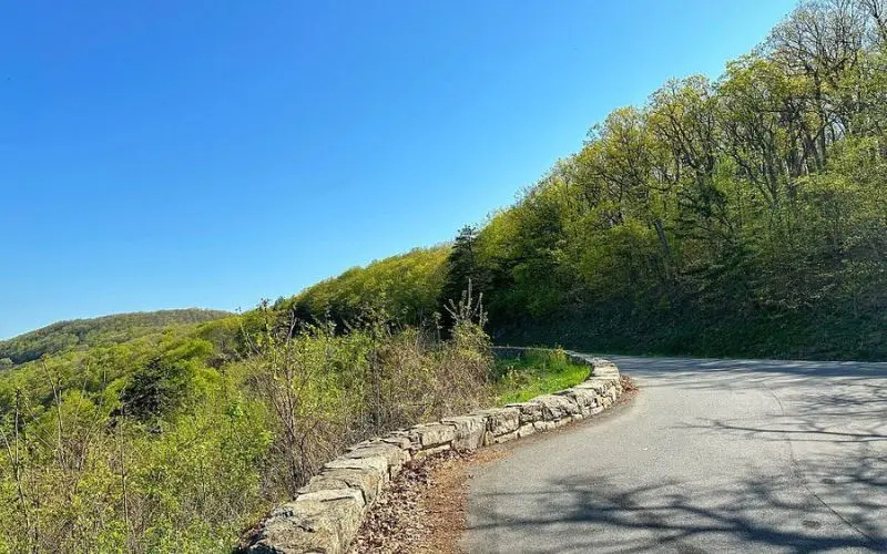 Curving road lined with trees along Skyline Drive.