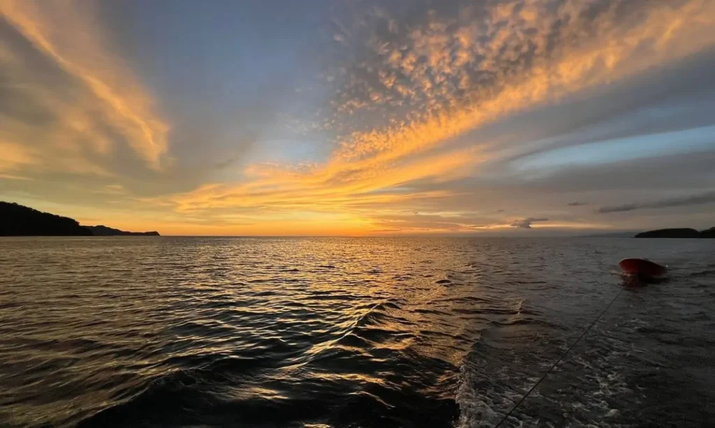 Golden sunset view from the water during the Marlin del Rey Catamaran Tour.