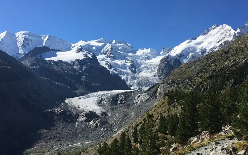Piz Bernina shows the glacier-covered Piz Bernina mountain range under a clear blue sky.