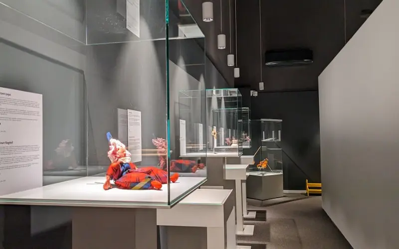 Glass display cases inside Sarajevo War Childhood Museum.
