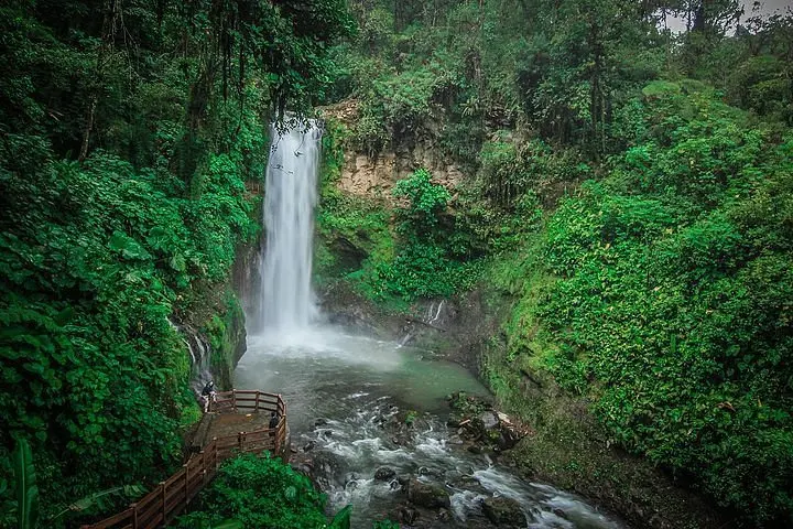 A waterfall surrounded by lush green forest in San Jose, Costa Rica.