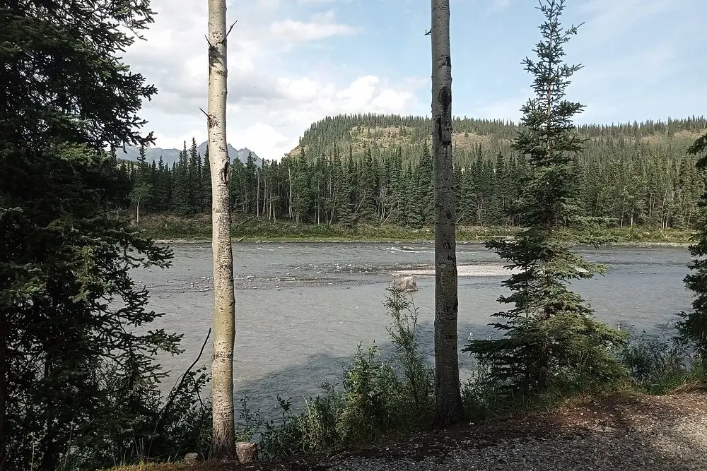Trees frame the flowing Nenana River with forested hills in the background.