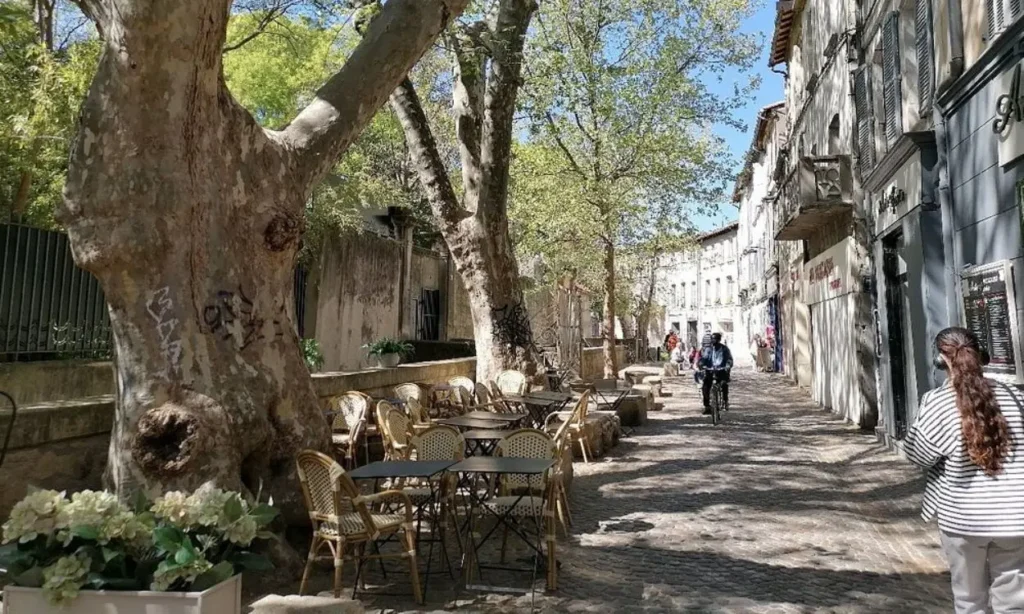 The tree-lined cobblestone street of Rue des Teinturiers with outdoor café seating.