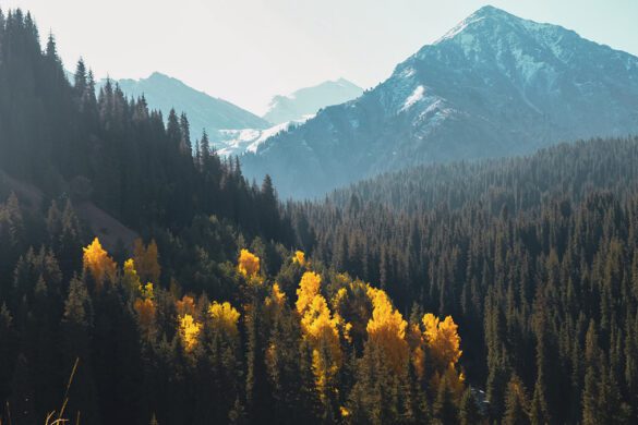 11 Unique Things to Do in Almaty, Kazakhstan (Beyond the Basics!)