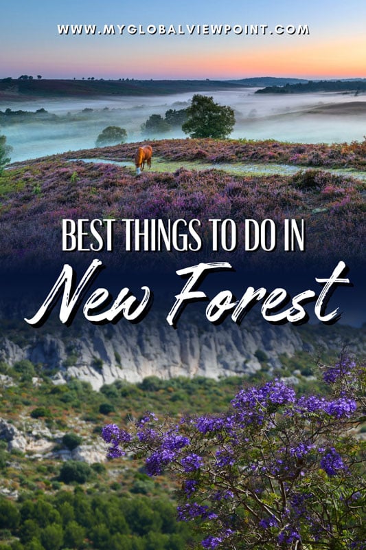 The top things to do in the New Forest for all types of travelers