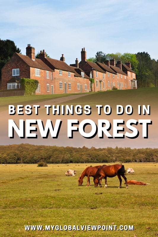 The nicest places to visit in New Forest right now