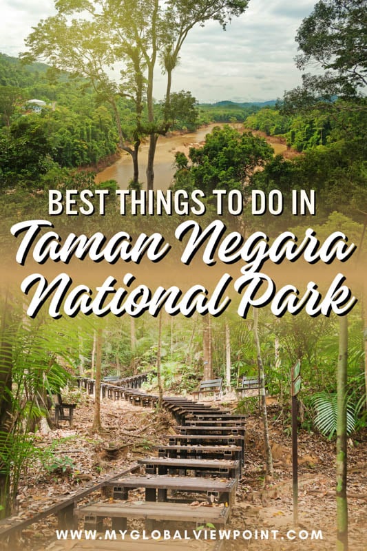 The nicest places to visit in Taman Negara National Park right now