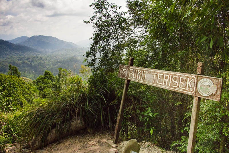 If you're eager to see Taman Negara's verdant jungle from above, the Bukit Teresek walk is the place to go.