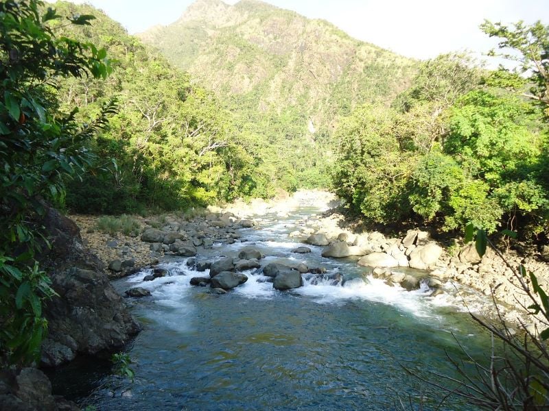 A scenic view of Cantingas River, showcasing the peaceful harmony of water and lush greenery