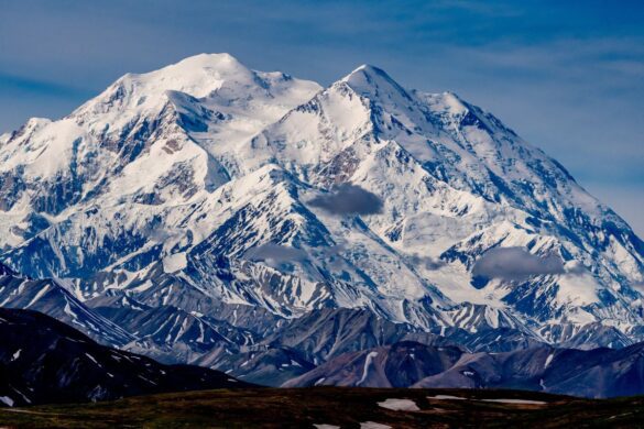12 Unmissable Activities in Denali National Park You’ll Love