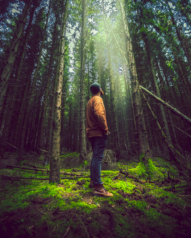 Eifel National Park is filled with verdant greenery and stunning biodiversity