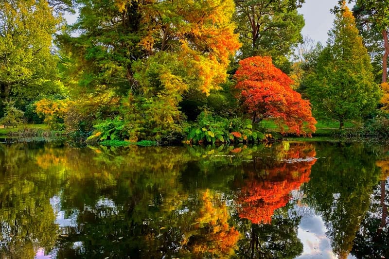 Imagine it as a huge botanical museum that is outdoors.