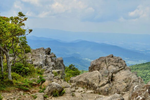 Exciting Things to Do in Shenandoah Valley