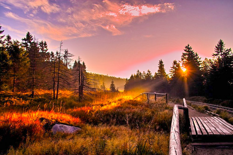 Unleash your adventurous spirit in the Harz Mountains, a playground for hikers and nature enthusiasts