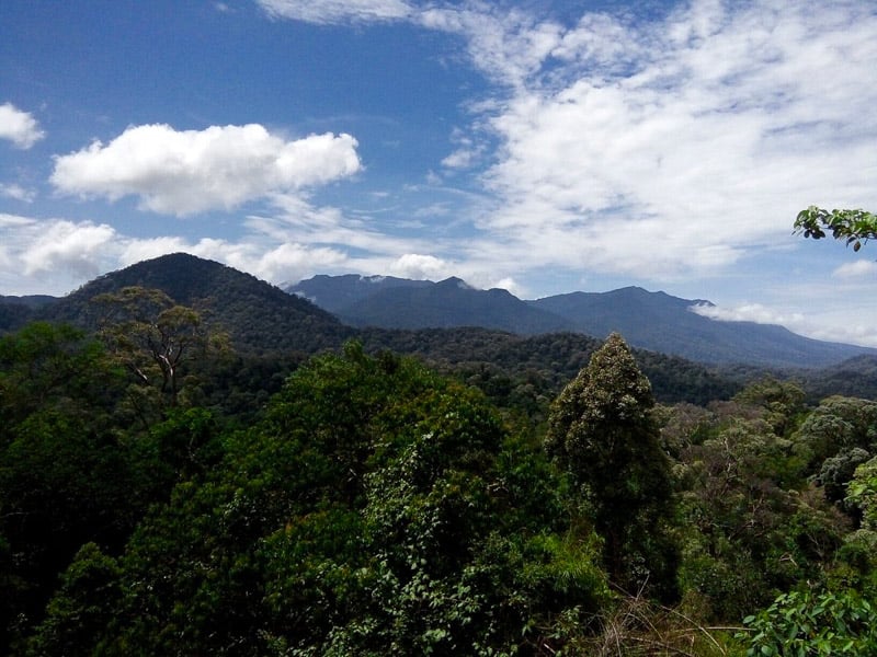 An experience that mixes exhilarating thrills with the splendor of nature.