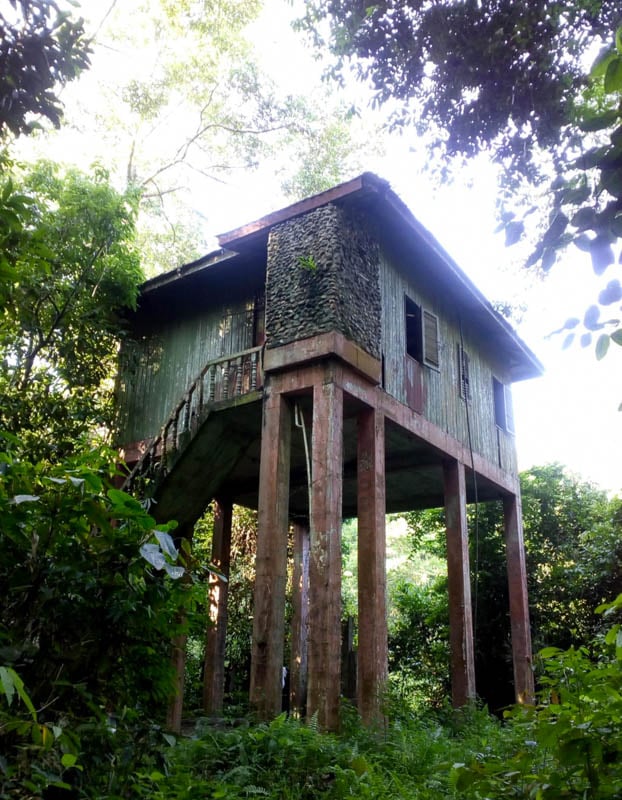 More than just a location, Kumbang Hide is an experience.