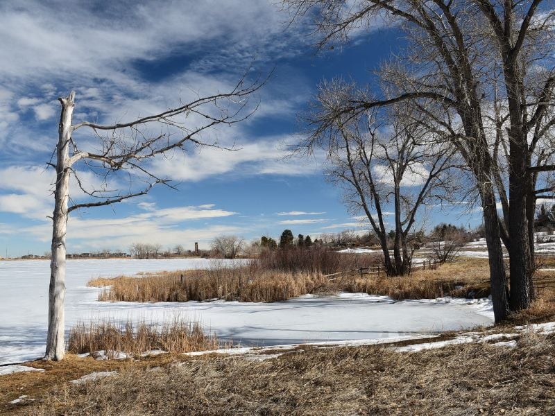 Littleton ranks among Colorado's coolest places to live, offering a balanced lifestyle blending suburban tranquility with urban excitement.