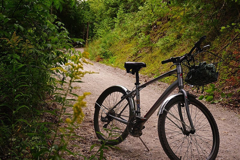 Pedal through paradise: Mackinac Island Bike Trails offer a scenic ride, immersing you in natural beauty.