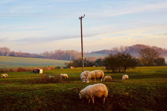 12 Amazingly Beautiful Places in Essex, England That Feel Unreal