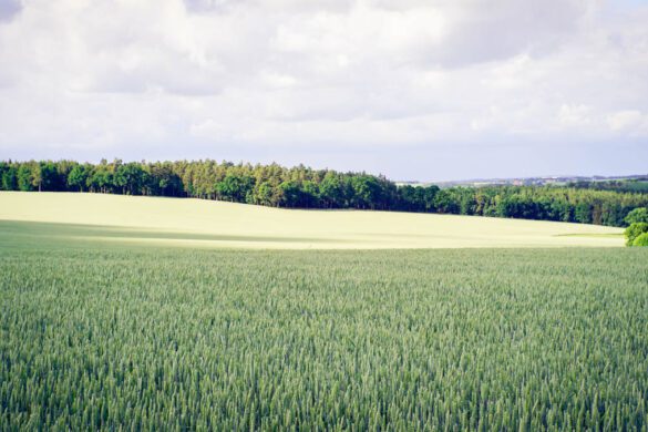 The 12 Prettiest Places in Thuringia You Won’t Believe Exist