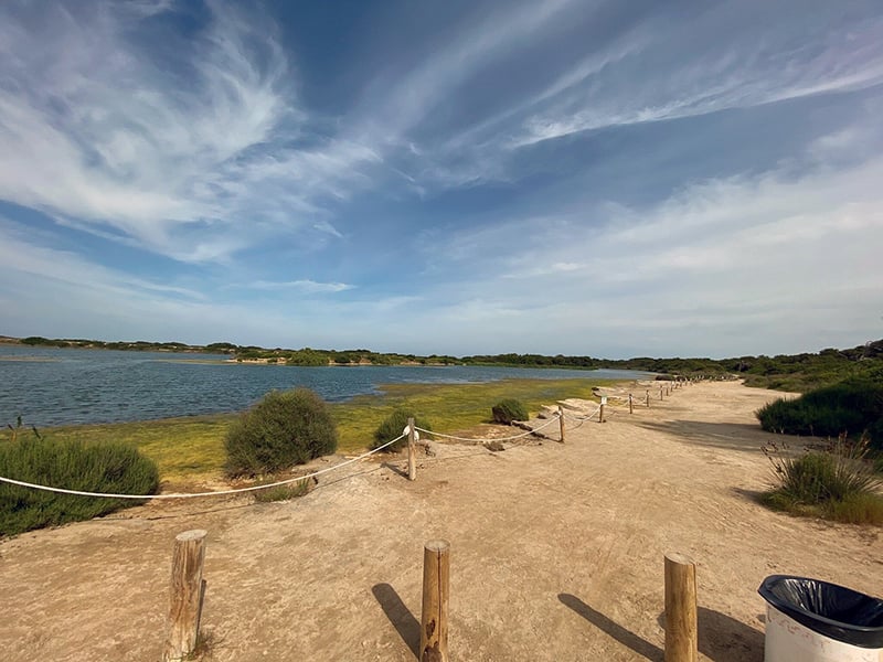Nature's canvas unfolds where Playa del Saler paints tranquility with beauty and serenity.