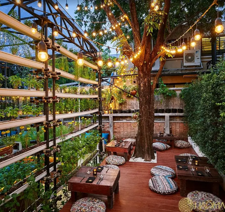 Haoma Bangkok