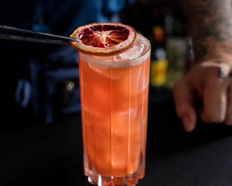 The Garibaldi