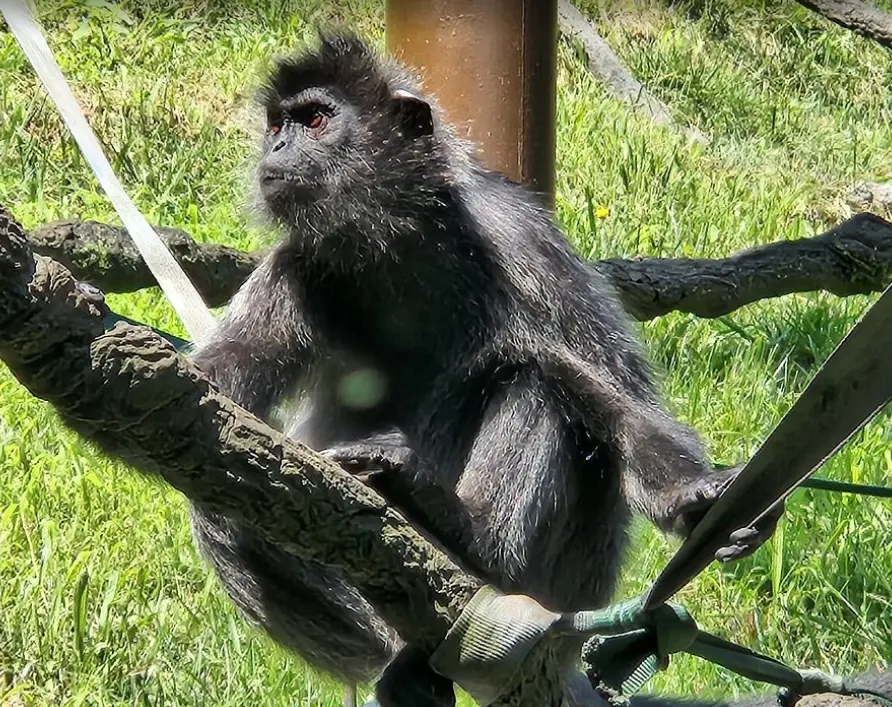 Zoo Knoxville