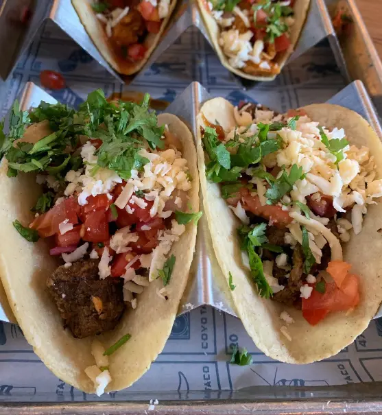 Coyo Taco