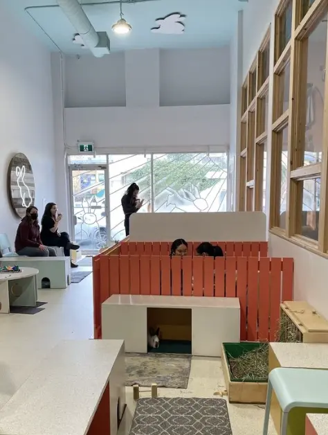 The Bunny Café