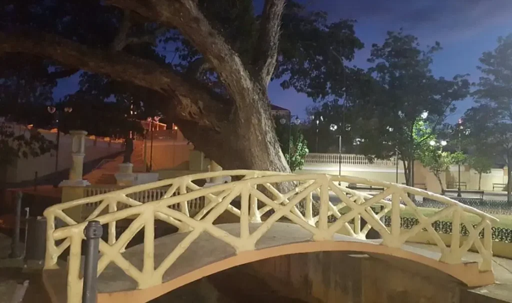 El Paterre