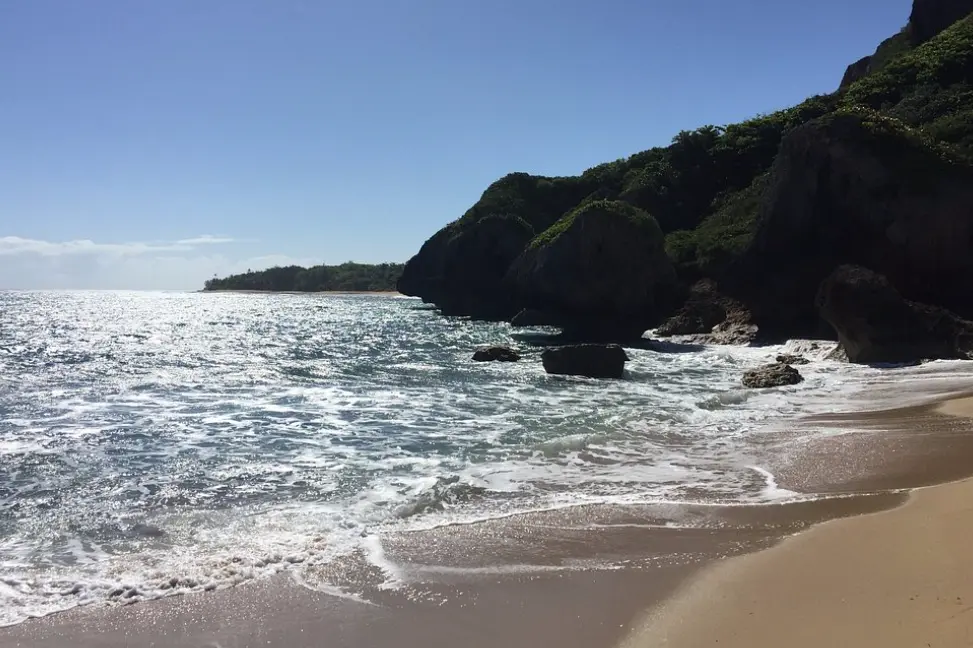 Survival Beach
