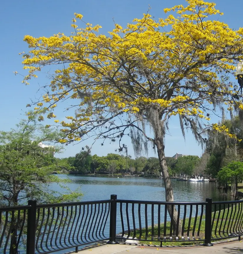 Lake Eola Park
