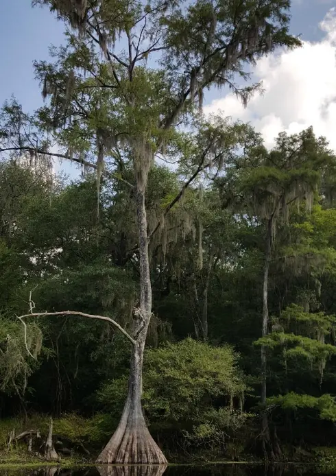 Santa Fe River