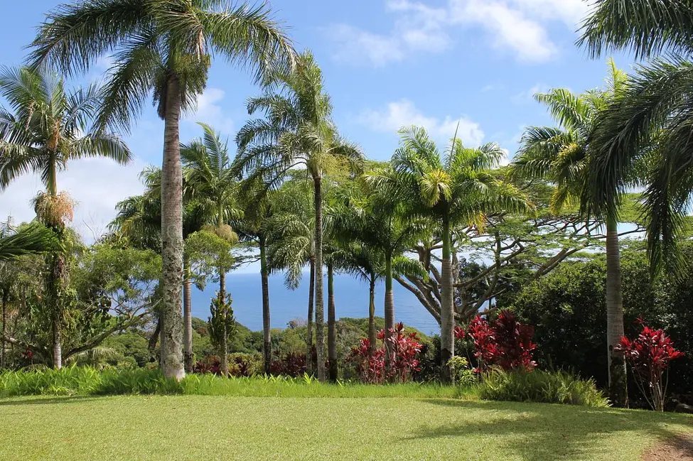 Garden of Eden Arboretum & Botanical Garden