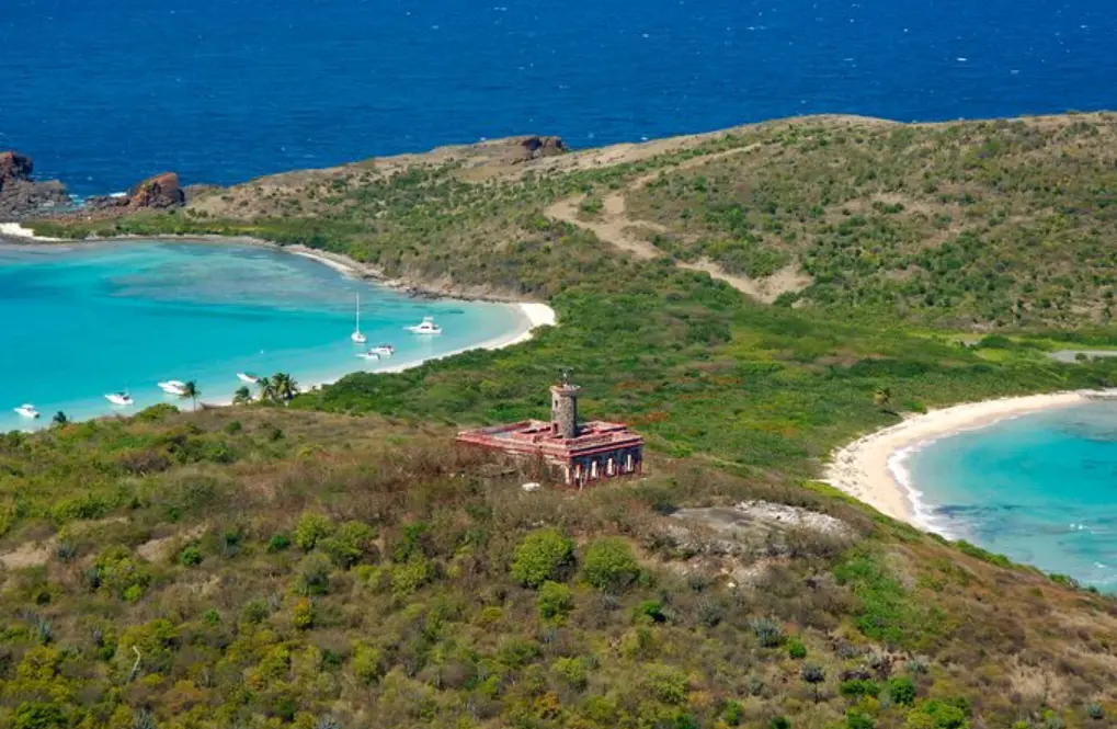 Culebrita
