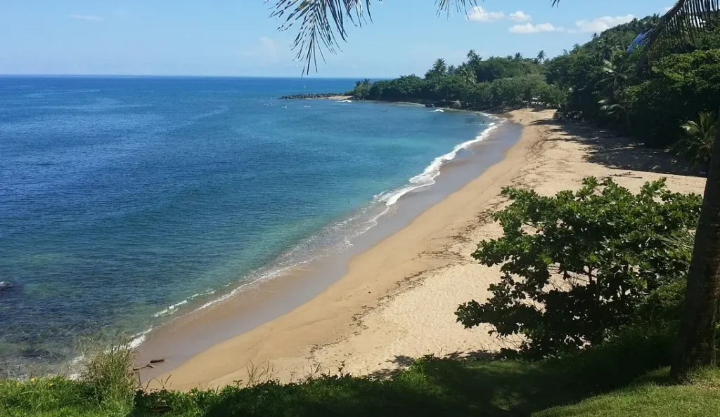 Rincon