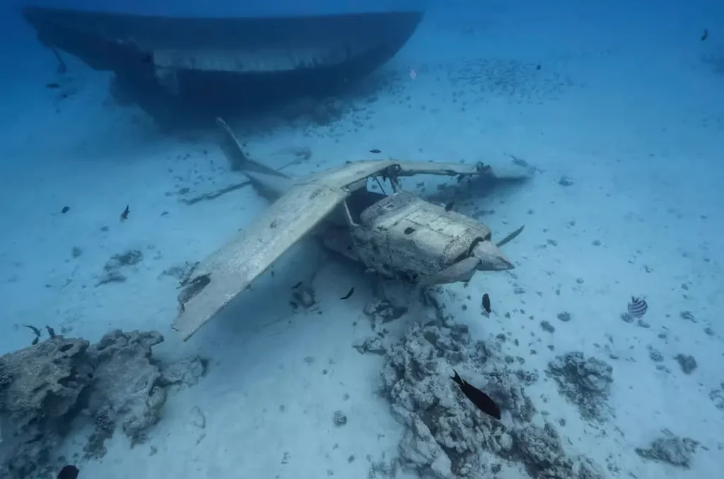 Tahiti island Snorkeling Tour