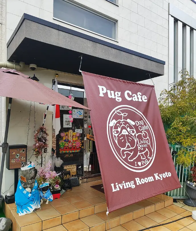 Pug Cafe Living Room